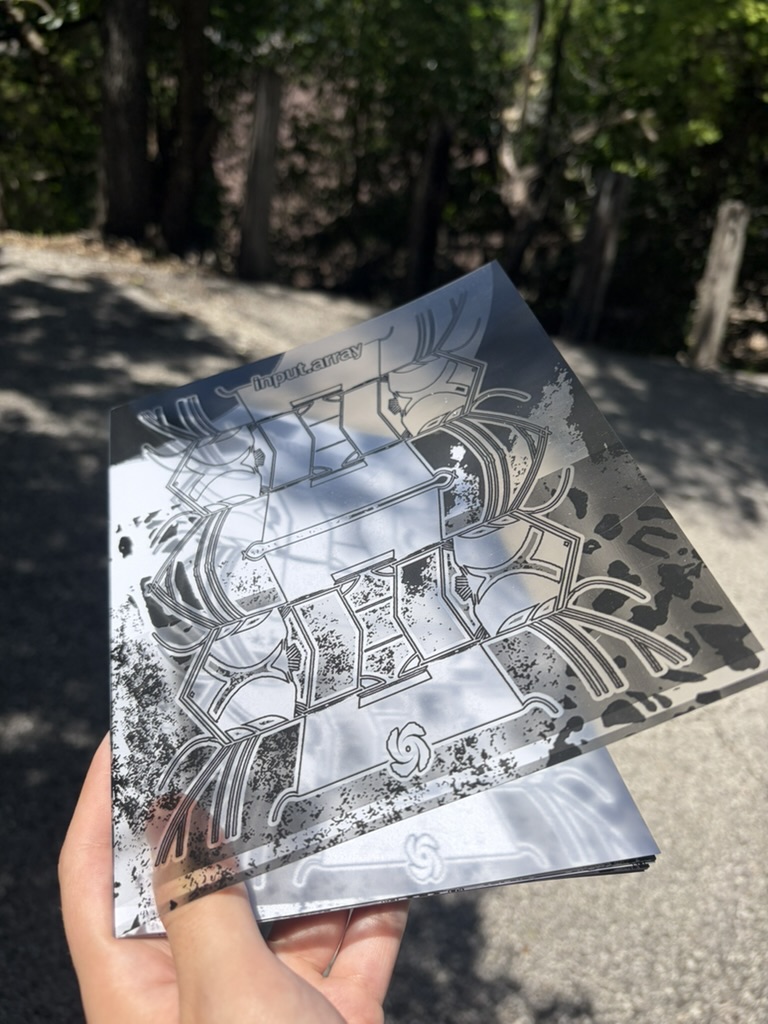 input.array zine, two copies in hand